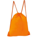 BOLSA | MOCHILA POLIESTER PRISMA